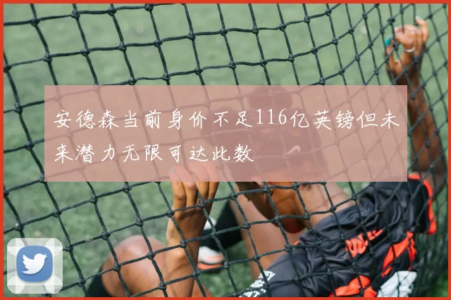 安德森当前身价不足116亿英镑但未来潜力无限可达此数