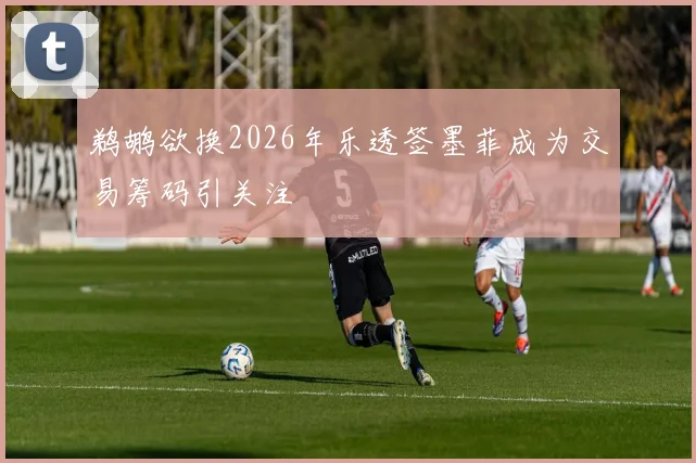 鹈鹕欲换2026年乐透签墨菲成为交易筹码引关注